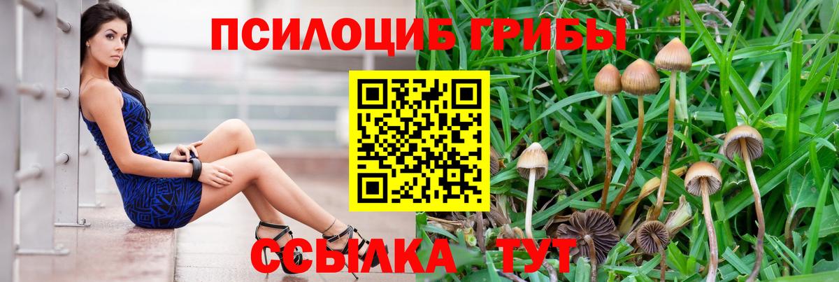 Псилоцибиновые грибы Psilocybine cubensis Орск