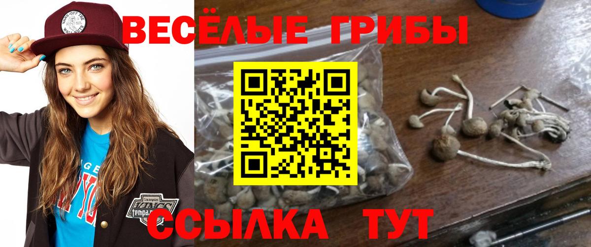 Орск  Псилоцибиновые грибы Magic Shrooms  Вход с VPN 